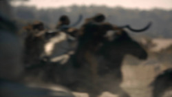 extant_GameOfThrones_8x05-TheBells_3735