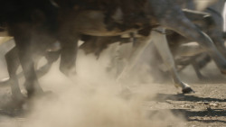 extant_GameOfThrones_8x05-TheBells_3743