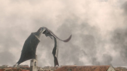 extant_GameOfThrones_8x05-TheBells_4641