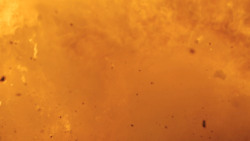 extant_GameOfThrones_8x05-TheBells_4727