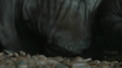 extant_GameOfThrones_8x05-TheBells_5504