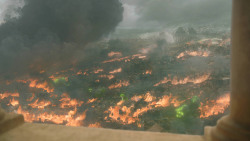 extant_GameOfThrones_8x05-TheBells_5611