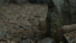 extant_GameOfThrones_8x05-TheBells_5648