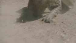 extant_GameOfThrones_8x05-TheBells_7454