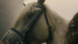 extant_GameOfThrones_8x05-TheBells_8152
