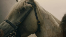 extant_GameOfThrones_8x05-TheBells_8153
