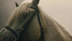 extant_GameOfThrones_8x05-TheBells_8154