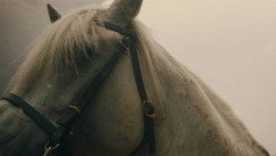 extant_GameOfThrones_8x05-TheBells_8155