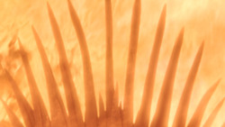 extant_GameOfThrones_8x06-TheIronThrone_4140